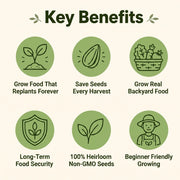 Heirloom Seed Vault Kit (35 Pack)