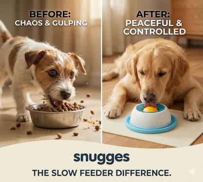 Dog's Licky Sip Bowl